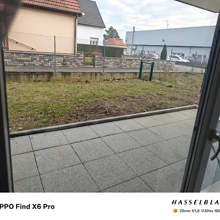 F2 Cosy Avec Jardin Daire Saint-Louis (Haut-Rhin)